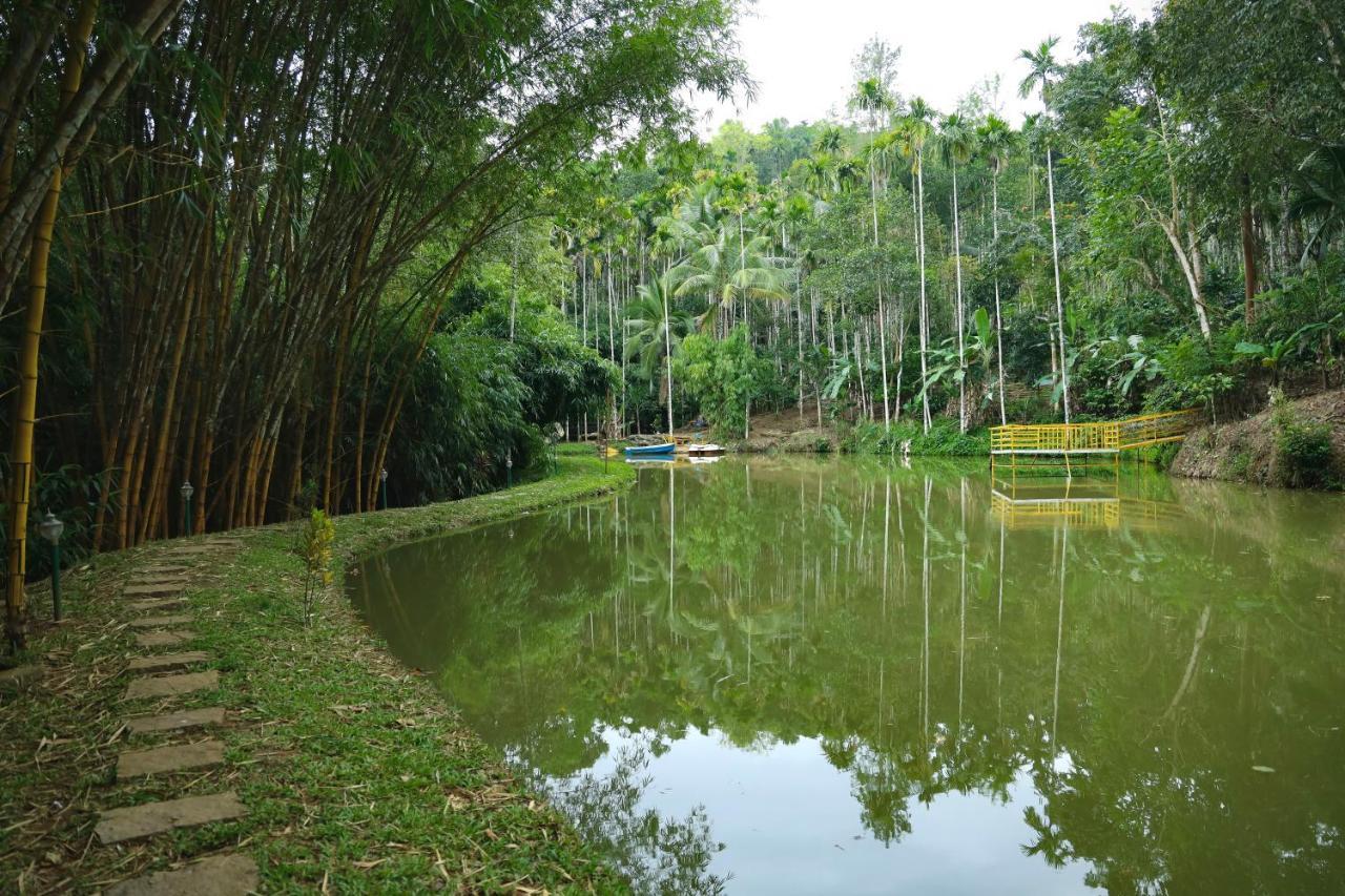 Bamboo Creek Resort Vaduvanchal Zewnętrze zdjęcie