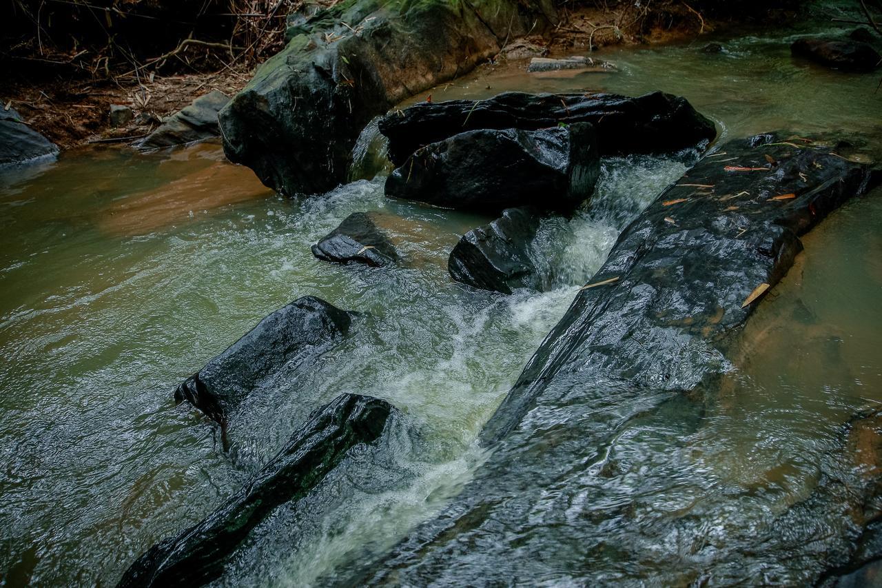 Bamboo Creek Resort Vaduvanchal Zewnętrze zdjęcie