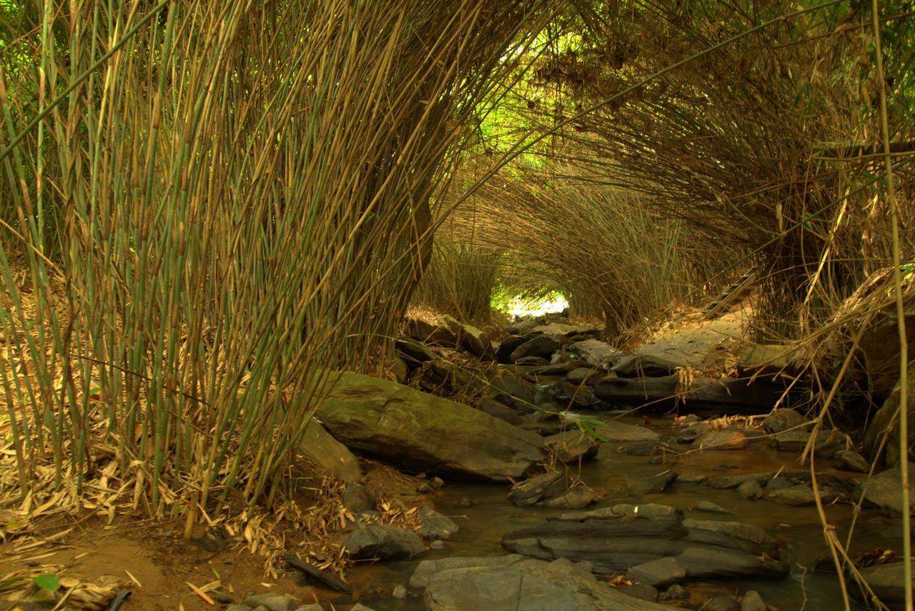 Bamboo Creek Resort Vaduvanchal Zewnętrze zdjęcie