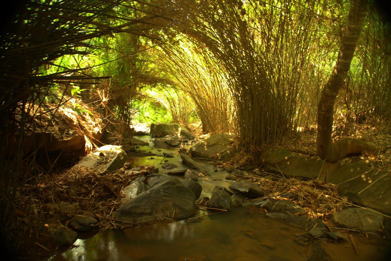 Bamboo Creek Resort Vaduvanchal Zewnętrze zdjęcie