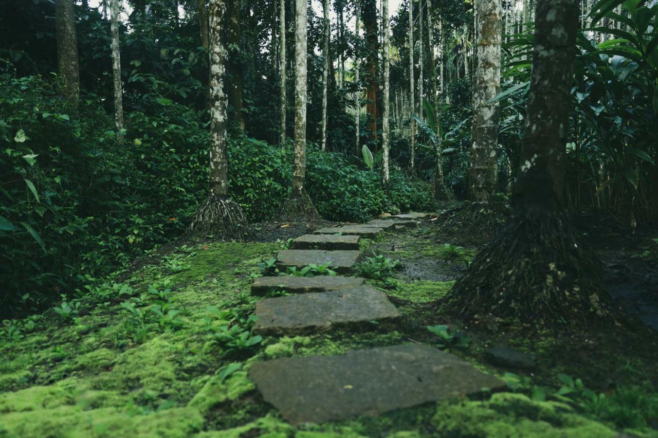 Bamboo Creek Resort Vaduvanchal Zewnętrze zdjęcie