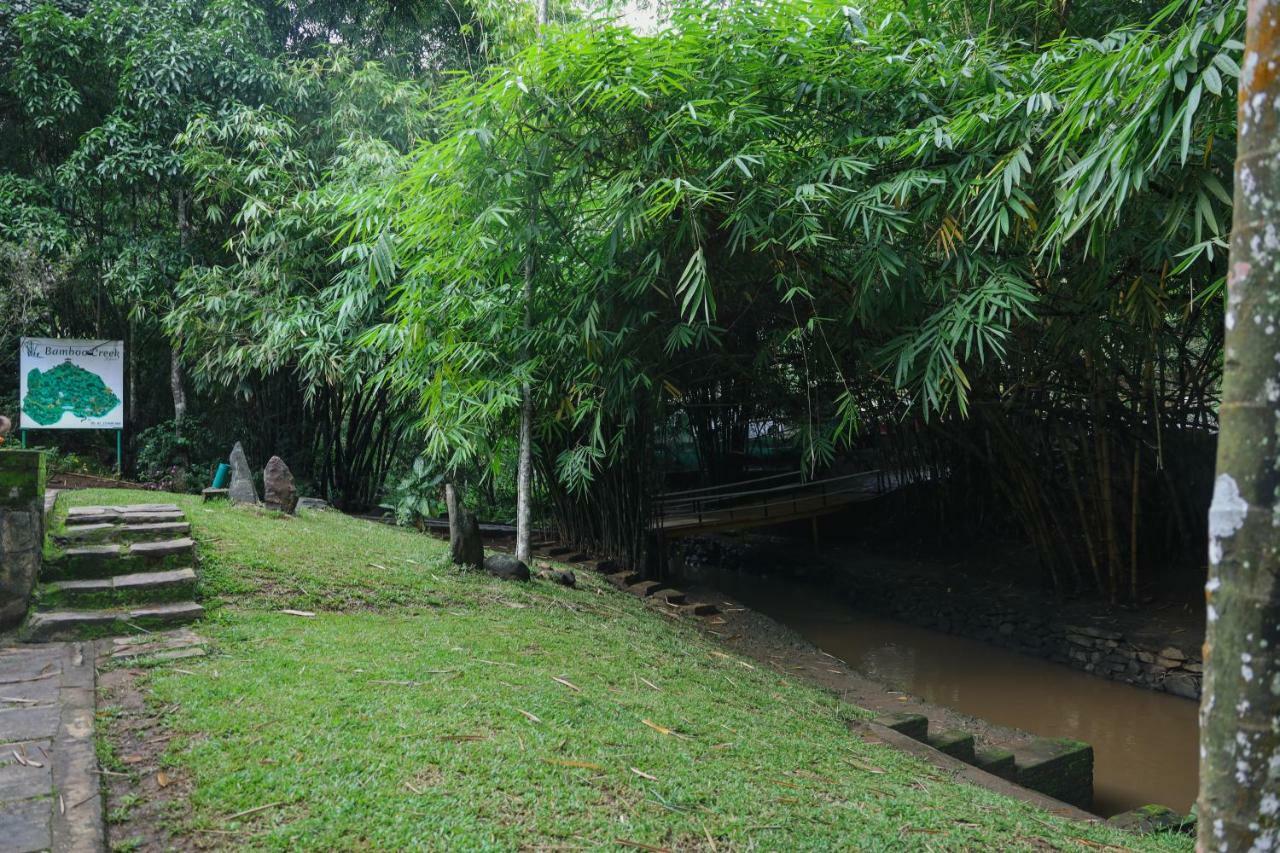 Bamboo Creek Resort Vaduvanchal Zewnętrze zdjęcie