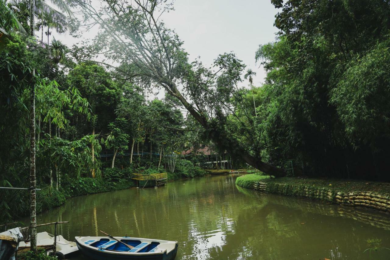 Bamboo Creek Resort Vaduvanchal Zewnętrze zdjęcie