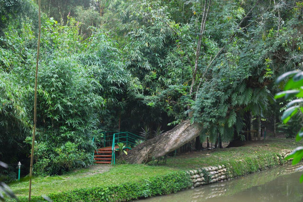 Bamboo Creek Resort Vaduvanchal Zewnętrze zdjęcie